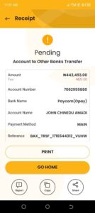 Transfer Pending Causes & Fixes (All Banks) Photo