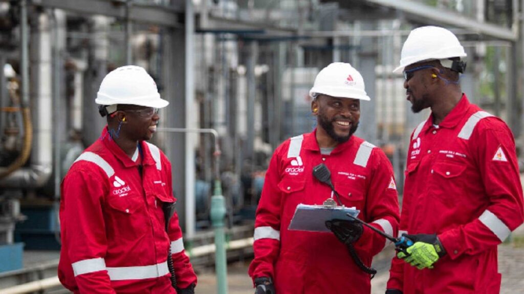 Acquisition Gains Drive Aradel to Highest-Ever Earnings Photo