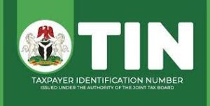 TIN Registration Requirements in Nigeria Photo