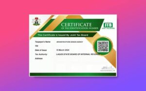 TIN for Business owners in Nigeria Photo