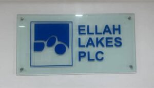 Ellah Lakes grows revenue to N146m, weighed down by N1.87bn loss Photo