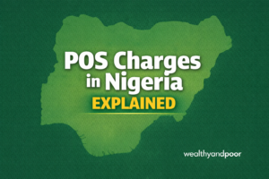 POS charges in Nigeria Explained Photo