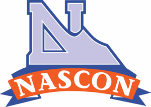 NASCON Posts ₦48.2bn FY2025 Profit as Strong Salt Demand Boosts Revenue Photo