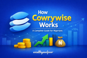 How Cowrywise Works Photo
