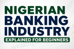 Nigerian Banking Industry Explained for Beginners Photo