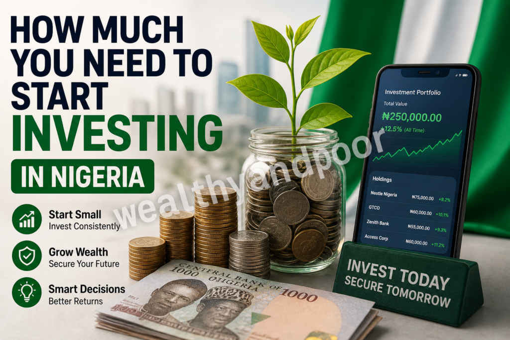 How Much You Need to Start Investing in Nigeria Photo